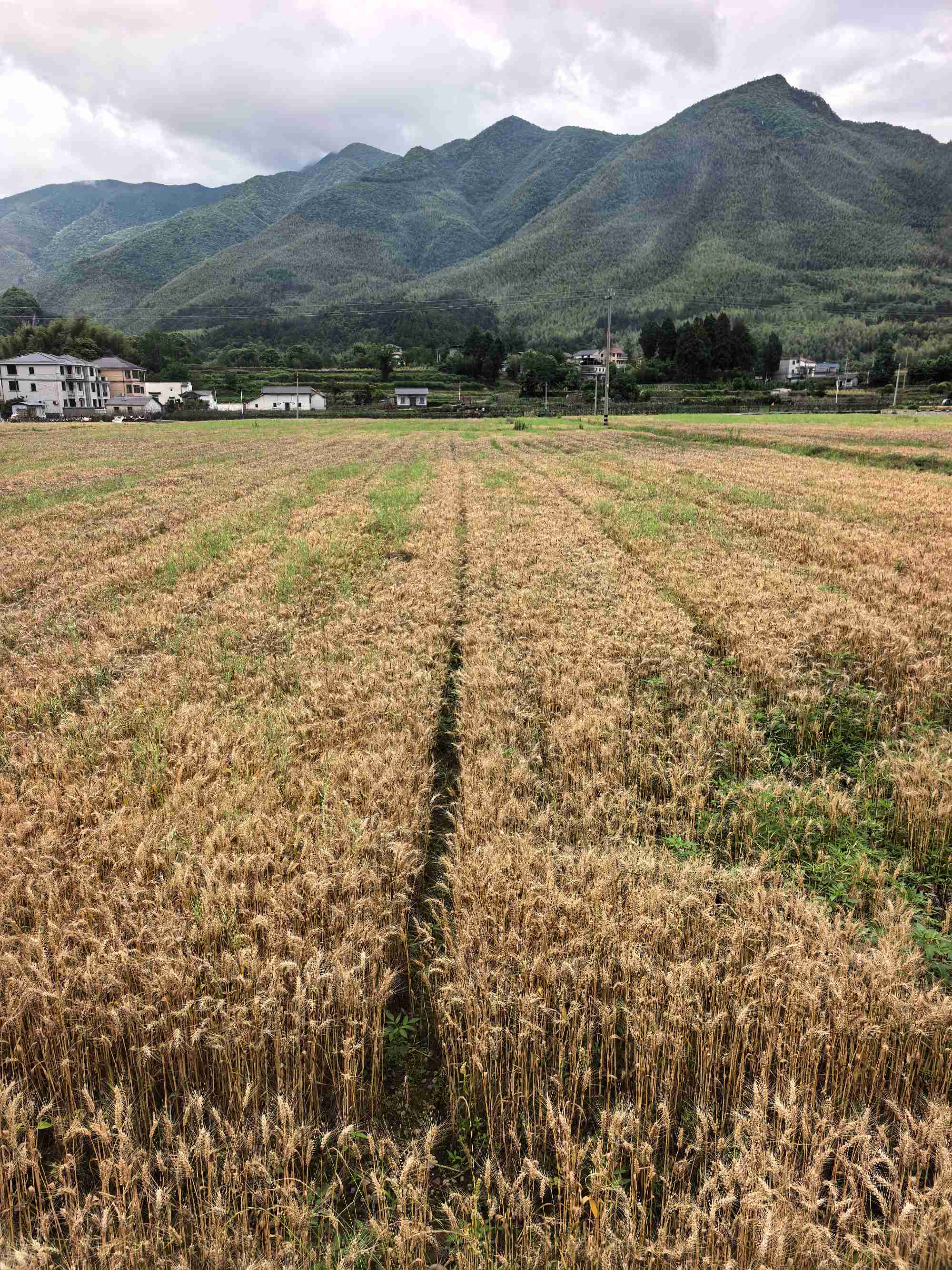 衢州第一百九十二天-20260523-发现一个绝美自驾线路-1